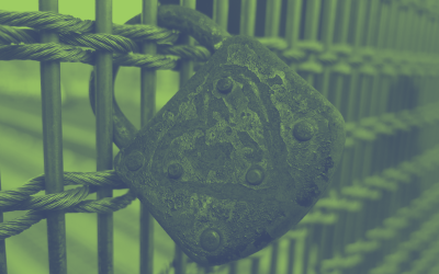 Location Intelligence Blog 6 Using Customers’ Locations to Improve Customer Loyalty